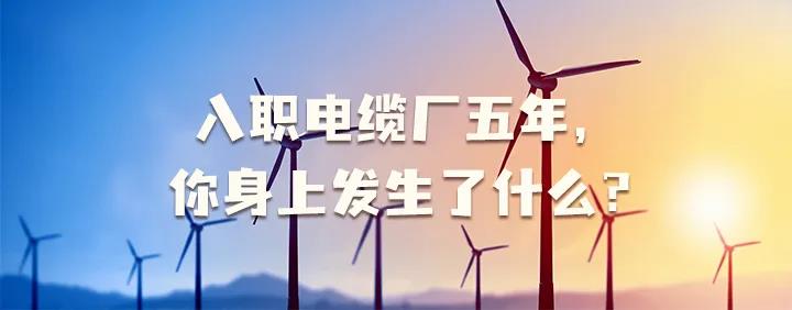 入職電纜廠(chǎng)五年，你身上發(fā)生了哪些變化~